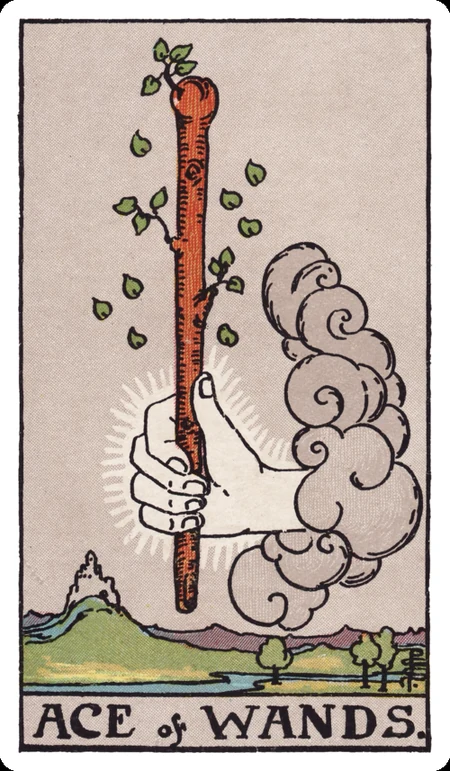 权杖一 tarot card