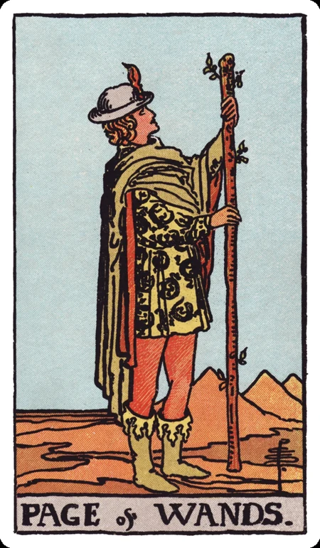 权杖侍从 tarot card