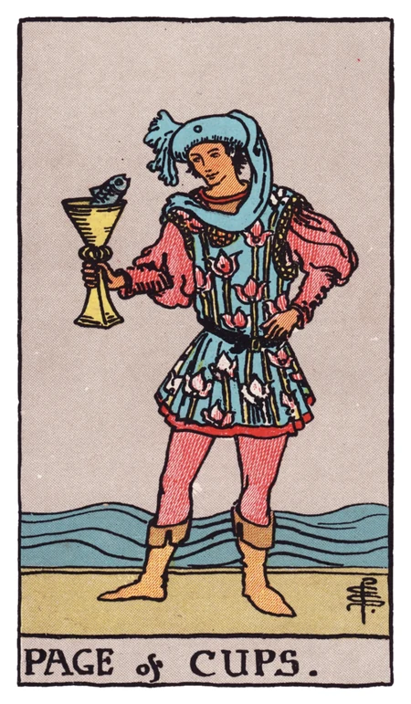圣杯侍从 tarot card