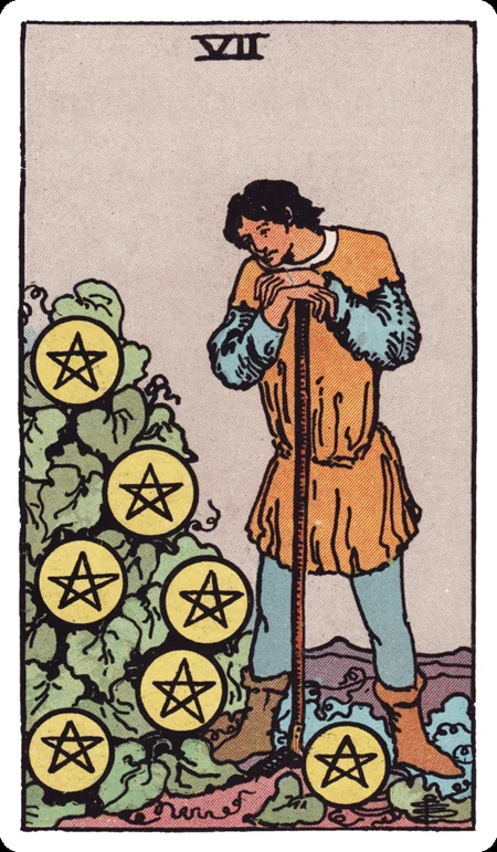 星币七 tarot card